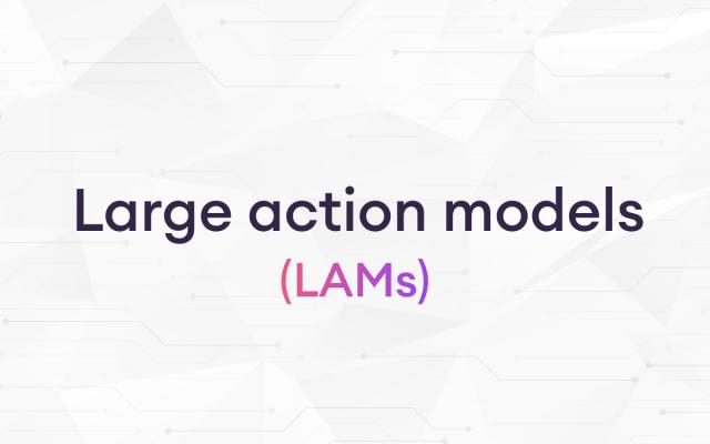 large action models