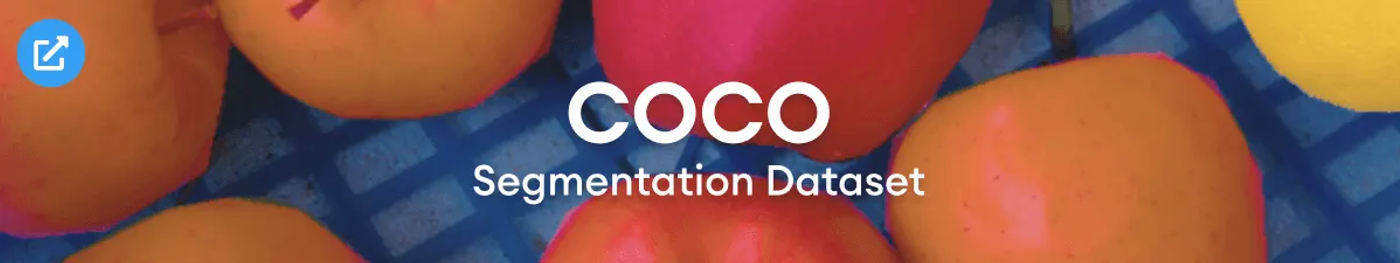 coco dataset
