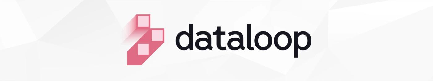 scale i competitor dataloop