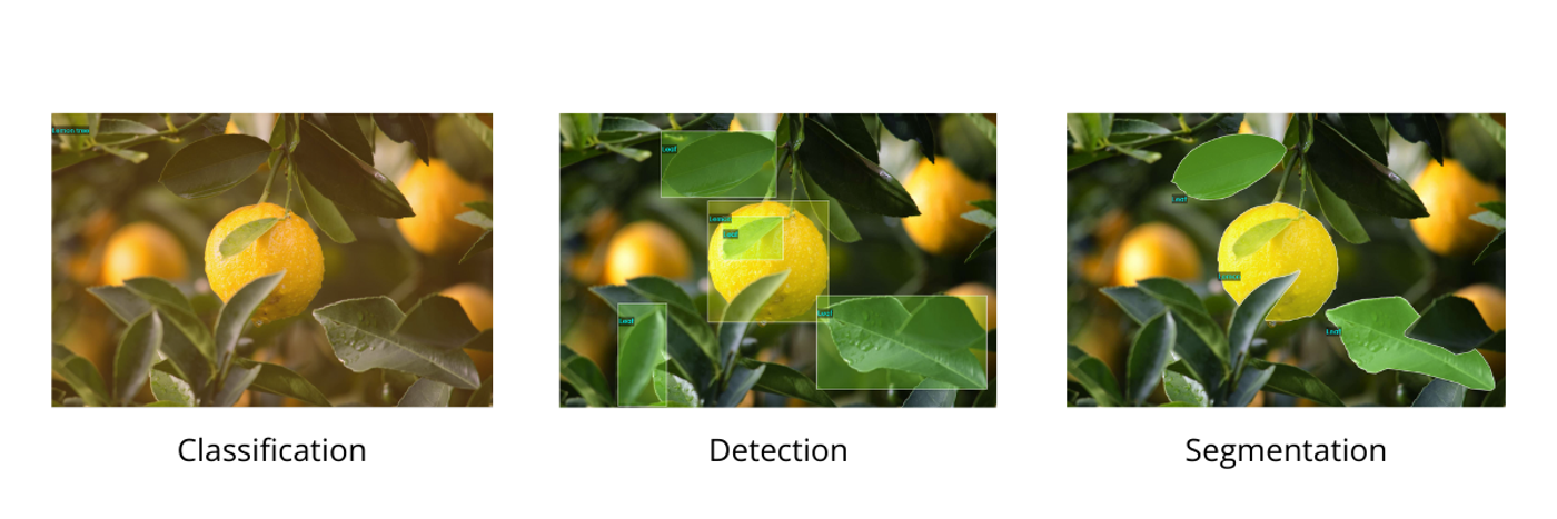different types of image annotation