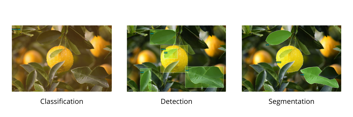 different types of image annotation