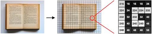 how to get embeddings