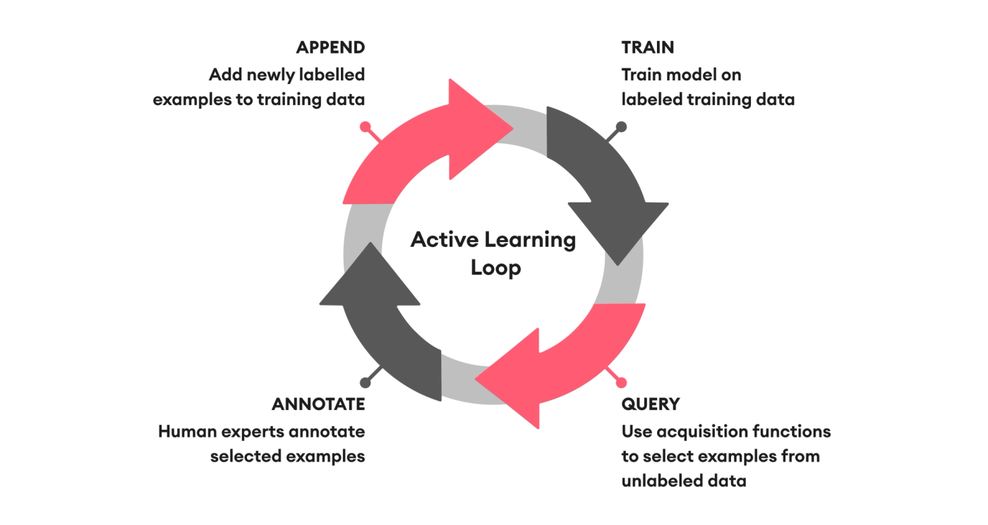 active learning loop