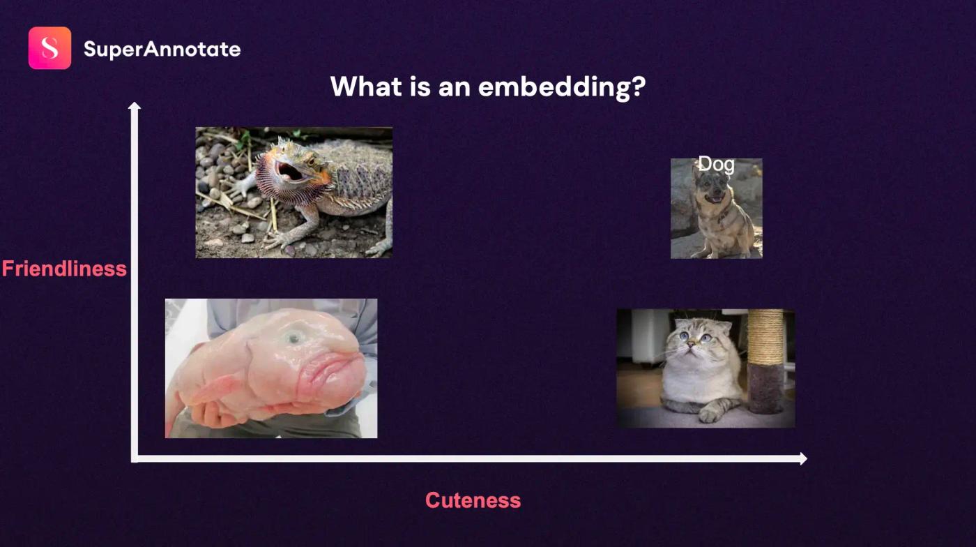 what is an embedding