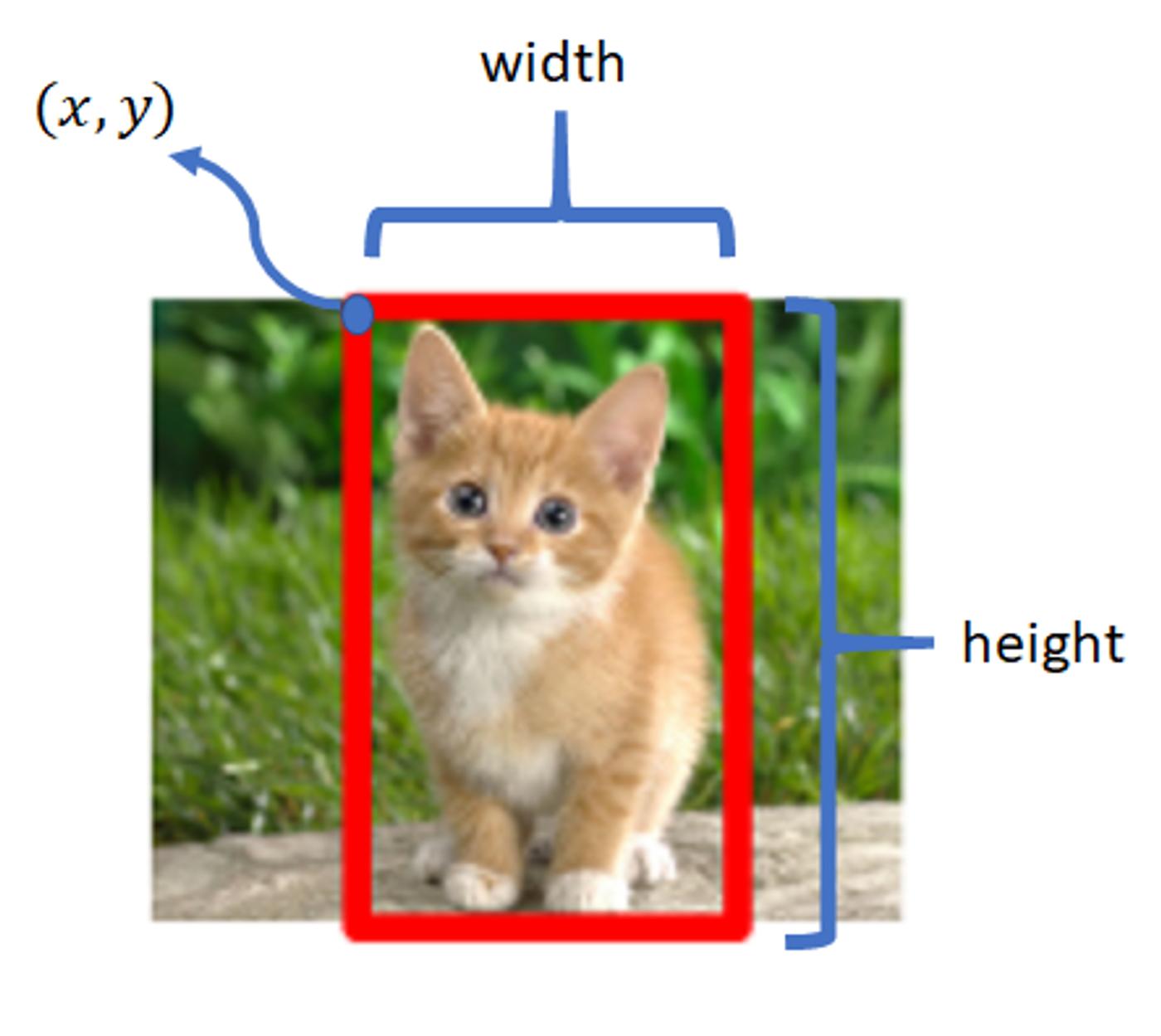 object localization
