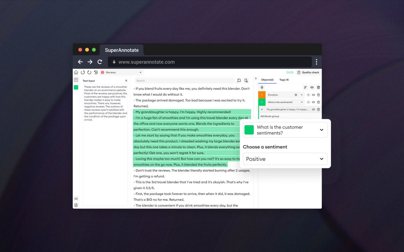 text annotation