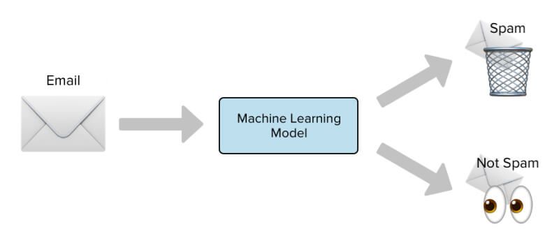 classification task