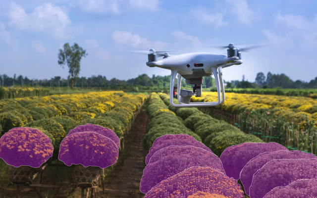 computer vision in ai drones