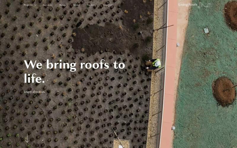 Living Roofs Inc.