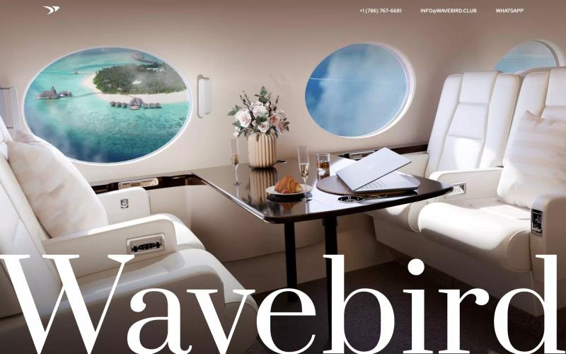 Wavebird