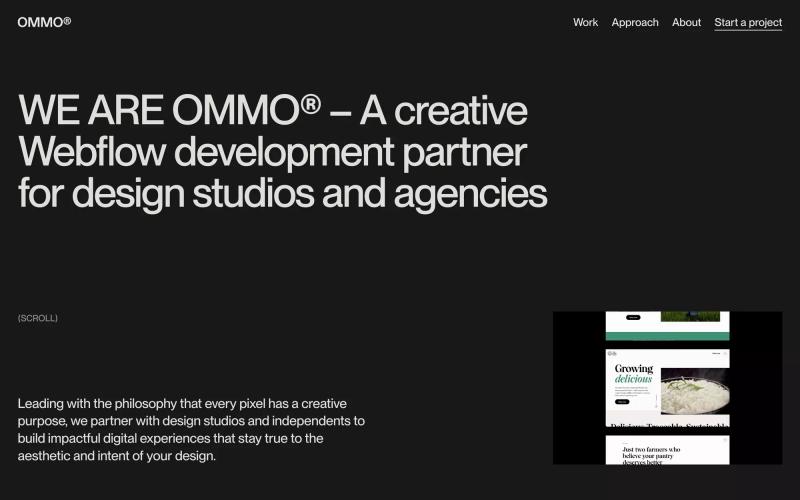 OMMO