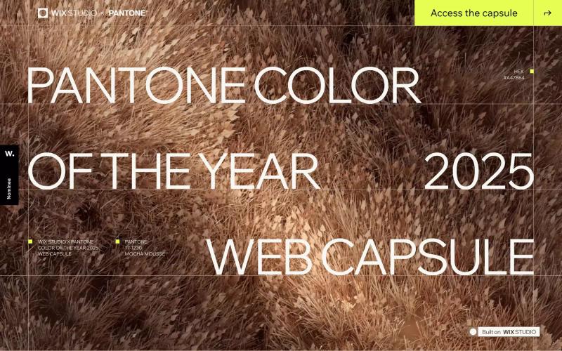 Wix Studio x Pantone Color of the Year 2025 Web Capsule