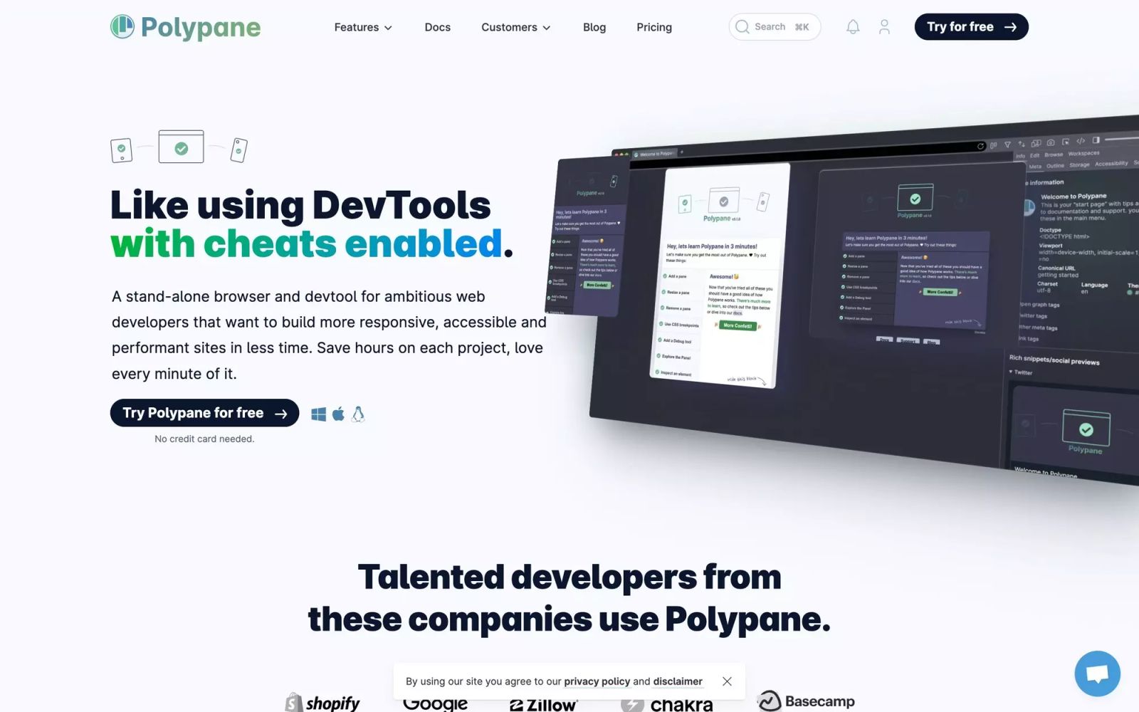 Polypane
