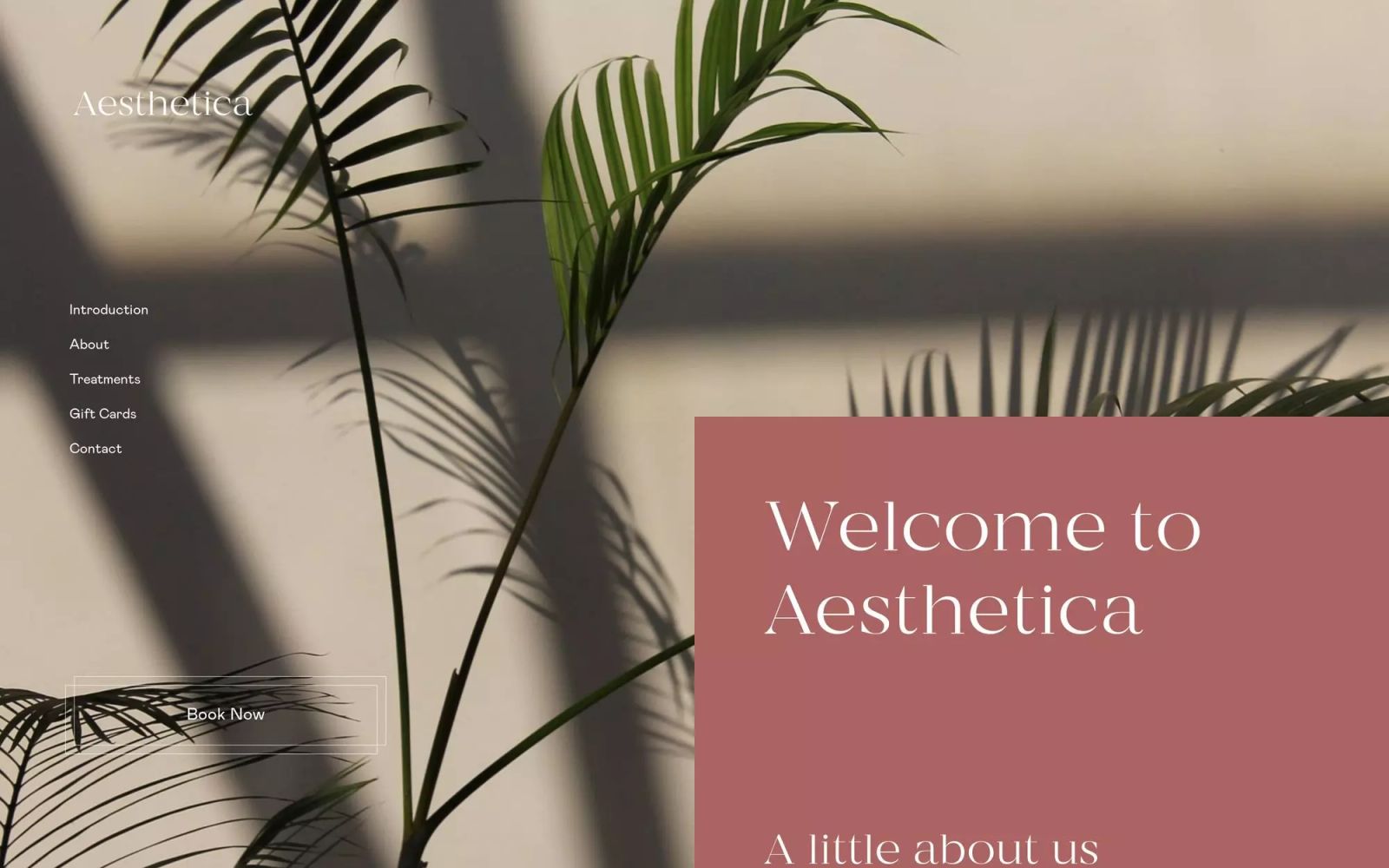Aesthetica