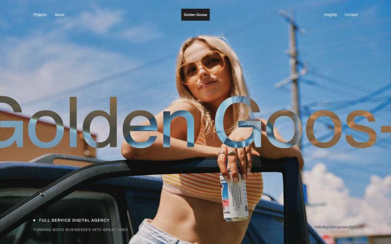 Golden Goose