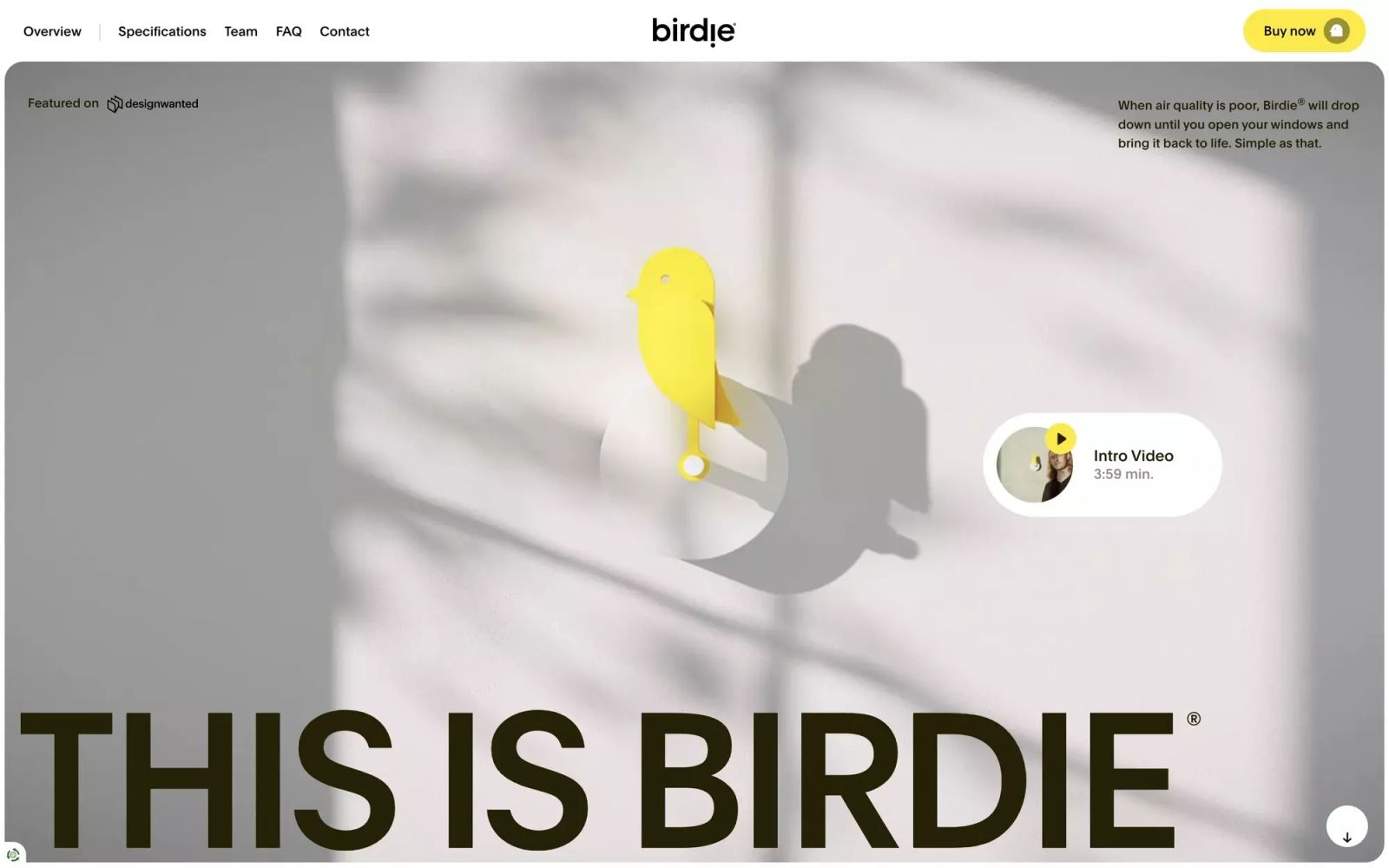 Birdie®