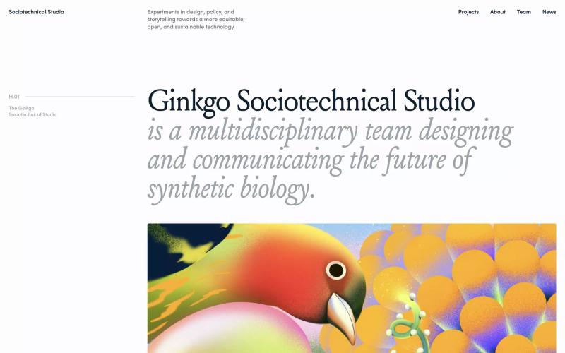 Ginkgo Sociotechnical Studio