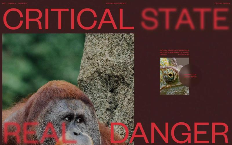 Critical Danger