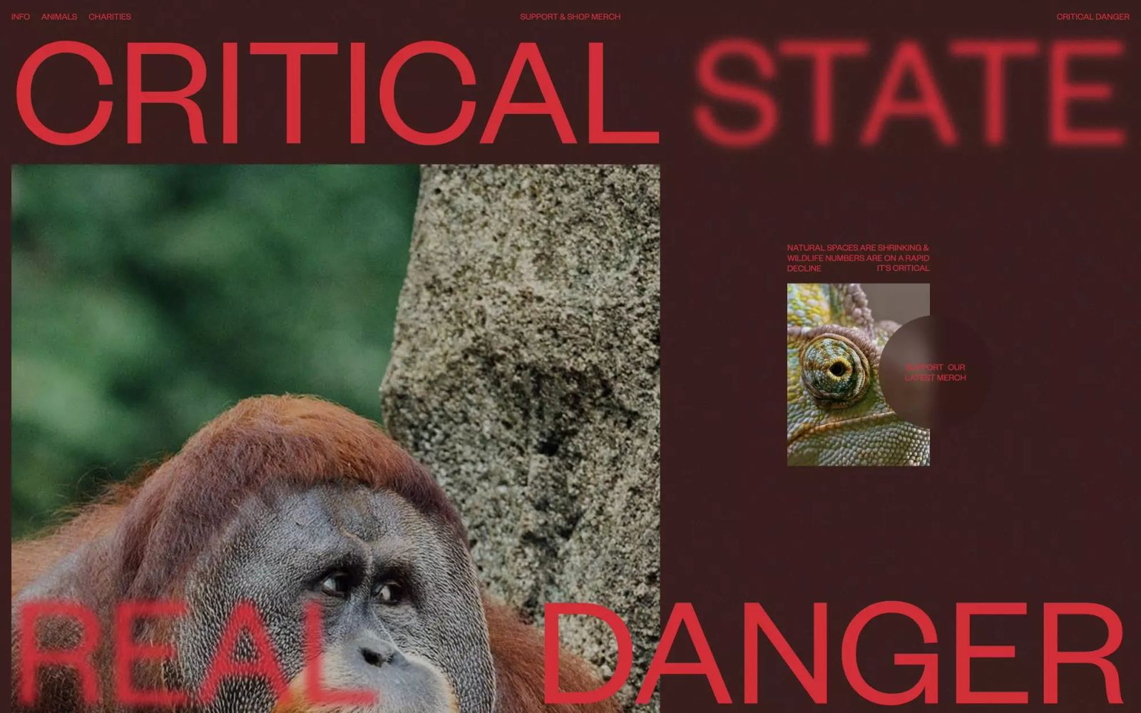 Critical Danger