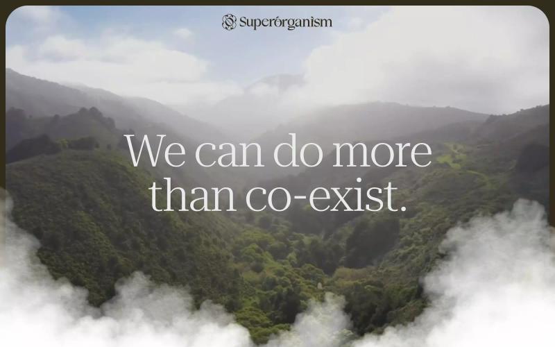Superorganism