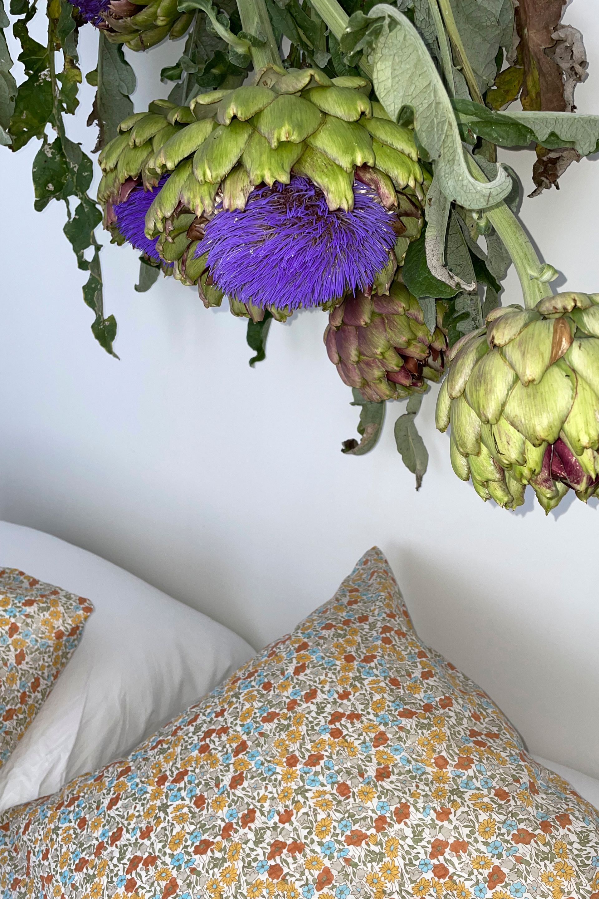 Ingrid Starnes Desert bloom pillow slips