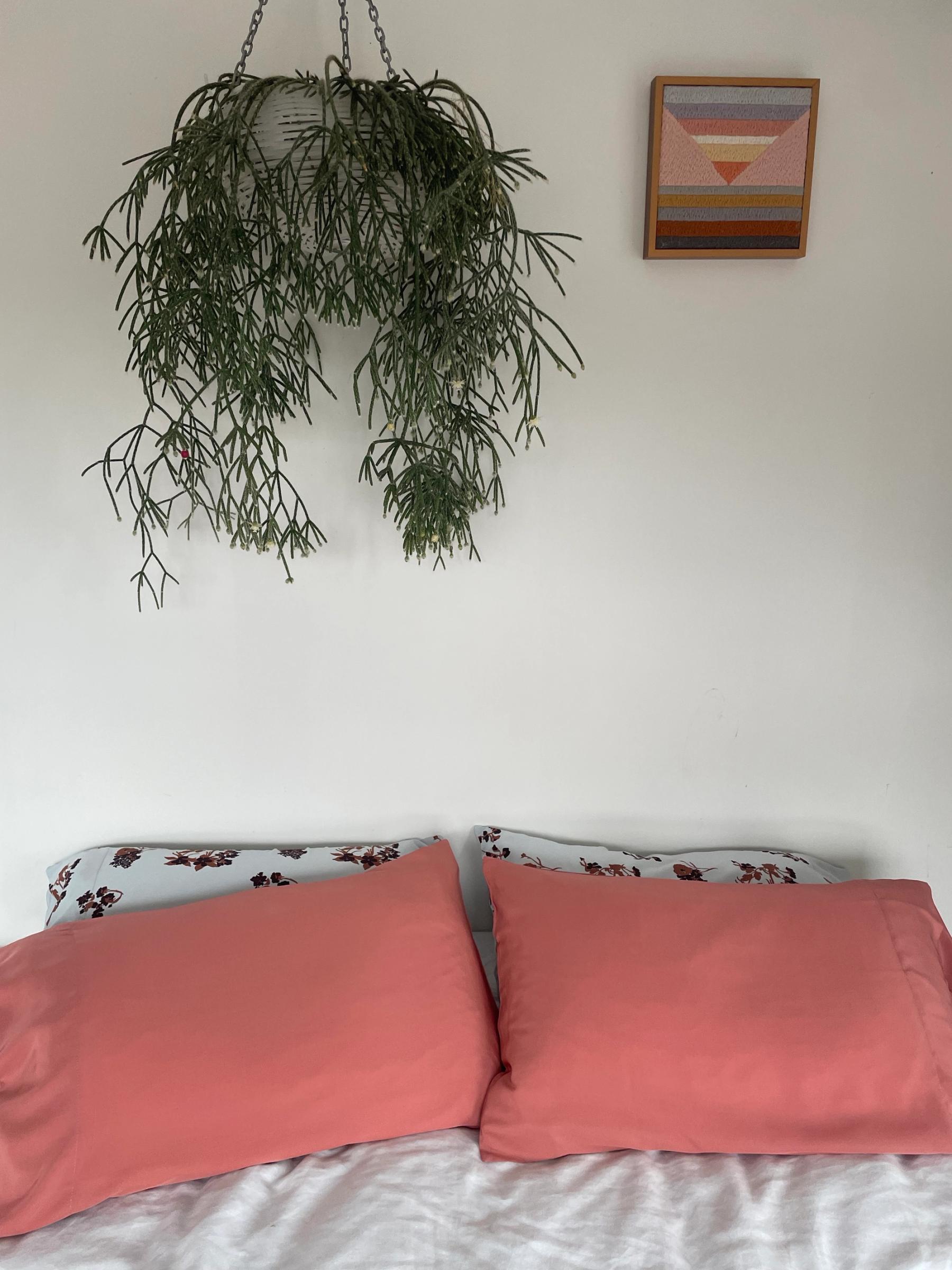 Coral pillowslip single thumbnail 2