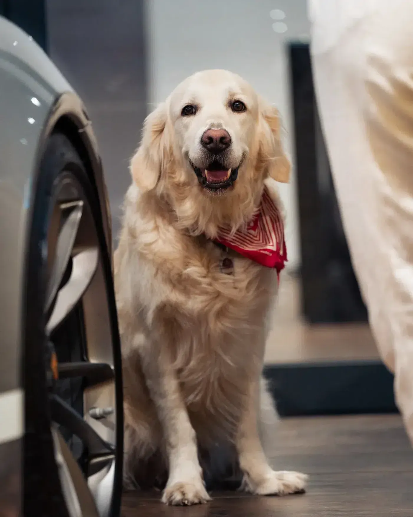 MontanaBlack88 und Daniel Abt auf dem ABT-Stand des MYLE 2024