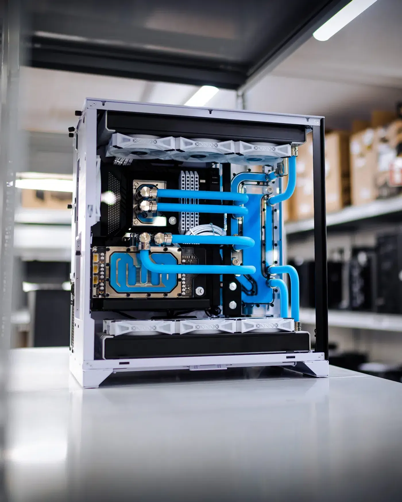 Blaue Wakue Regal.jpg – MIFCOM