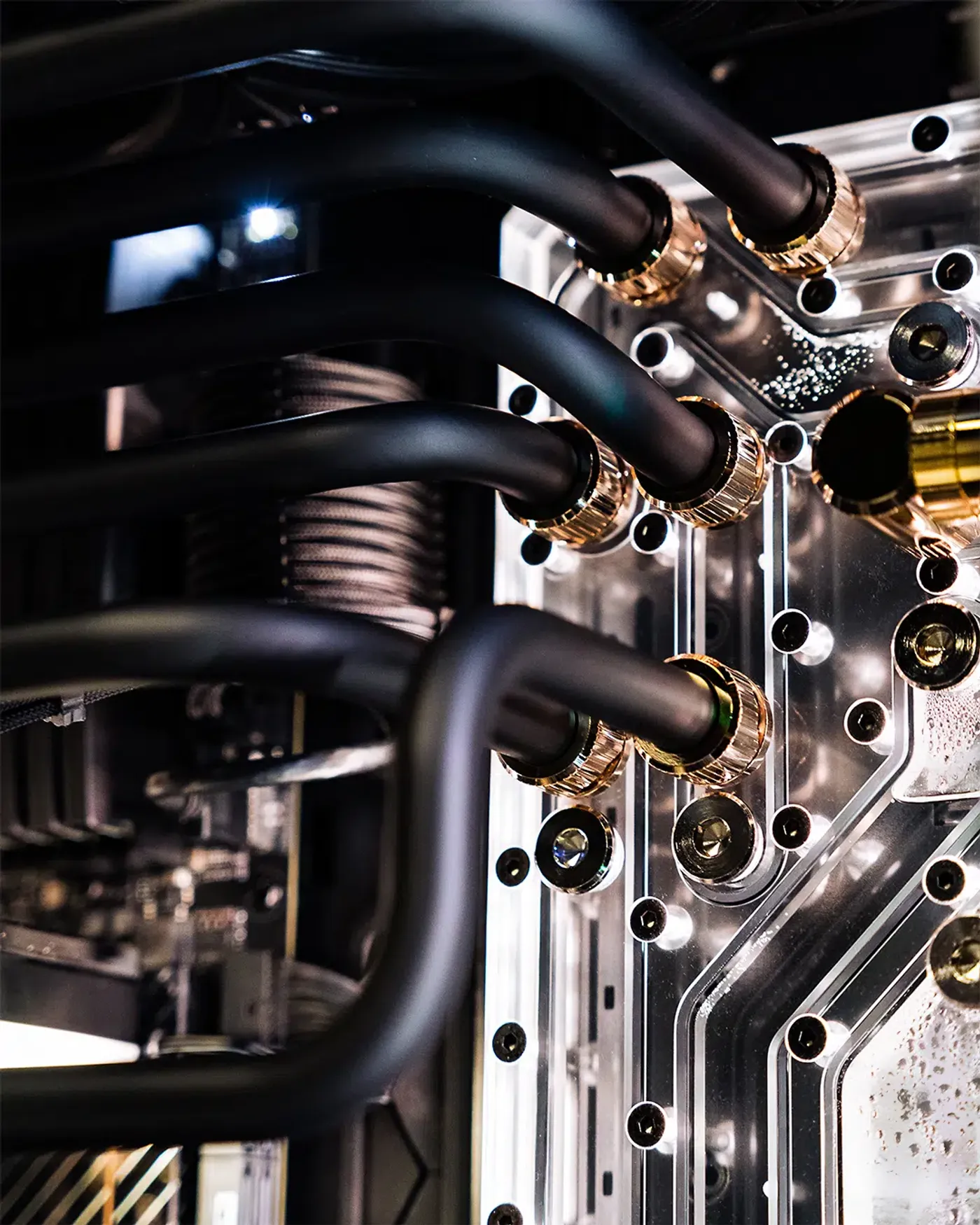 Schwarz matte Tubes mit goldenen Fittingen 2.jpg – MIFCOM