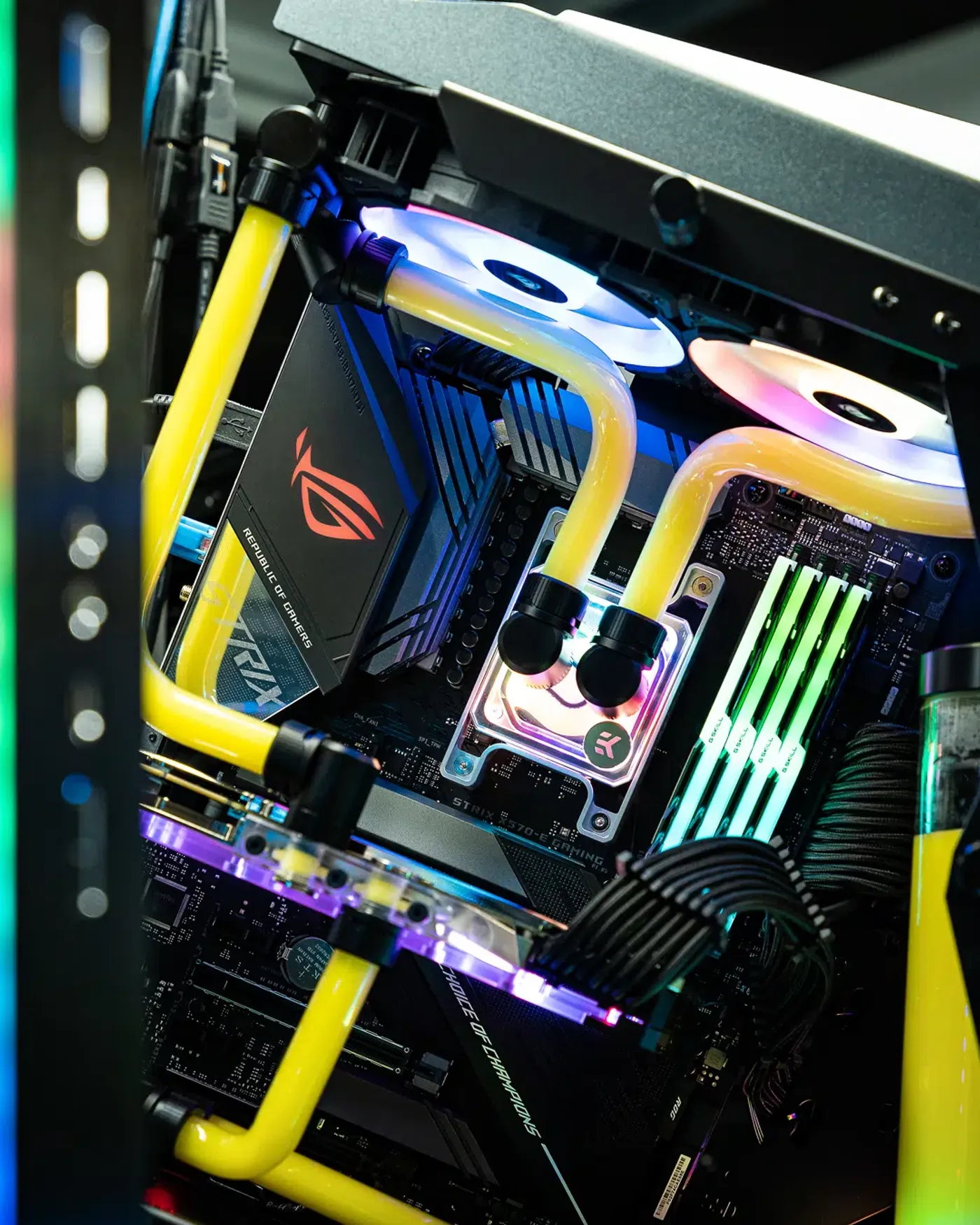 Mod5 im Profil.jpg – MIFCOM