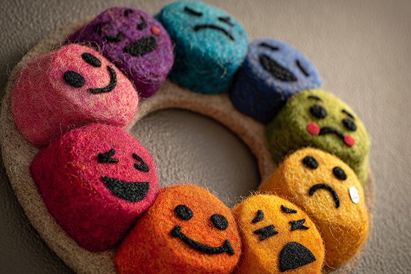 Emotion Coaching Circle: From Theory to Practice