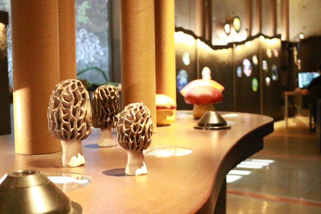 Museu MIM & Teleférico de Santiago — 8