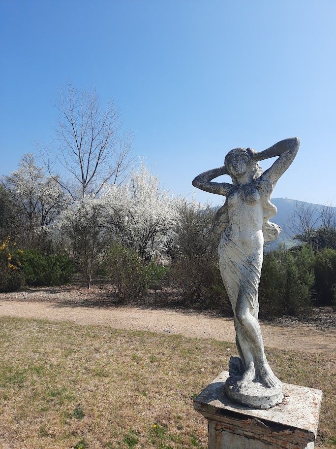 Cultura, Neve, Arte & Vinho — 2