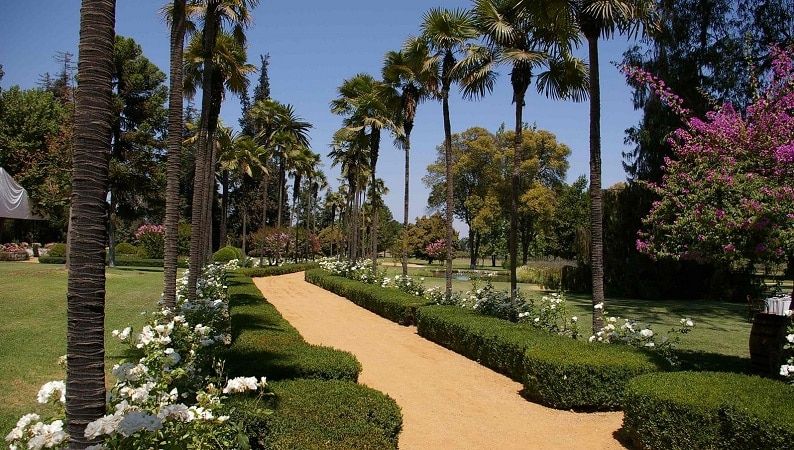 Viña Undurraga & Algarrobo — 3