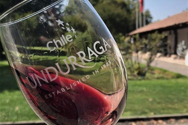 Vinhedos do Valle del Maipo — 5