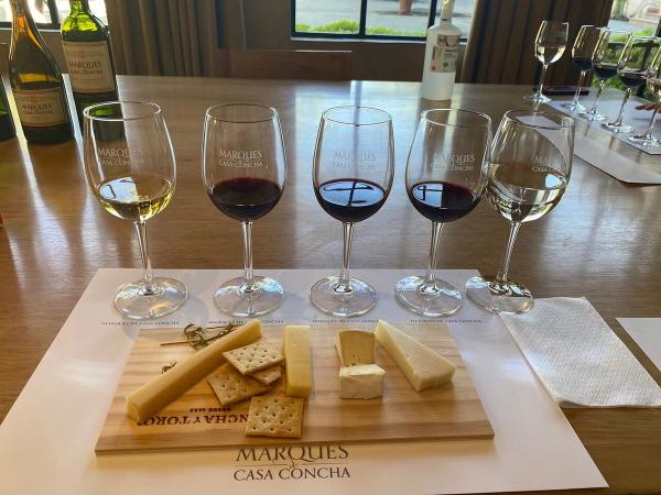 Enoturismo TOP & Tradicionais — 2