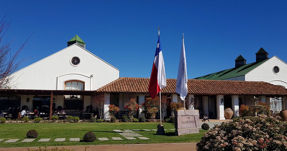 Vinhedos do Valle de Casablanca