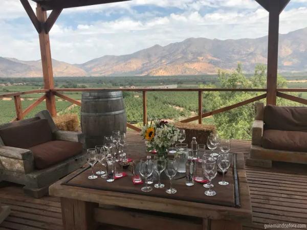 Vinhedos do Valle del Maipo — 1