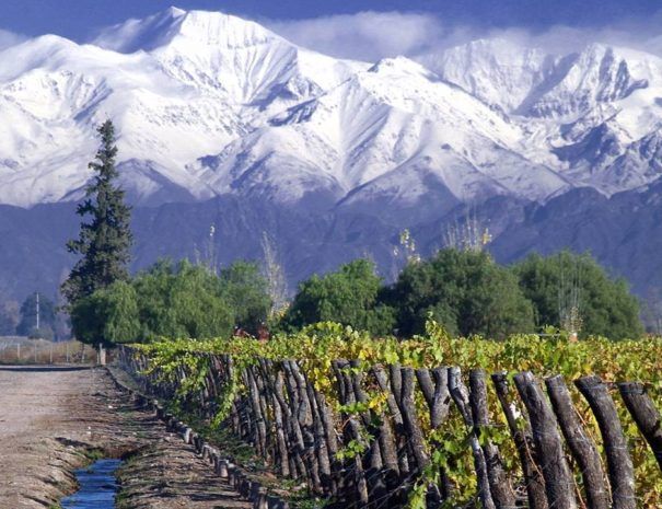 City Tour Santiago + Cousiño Macul