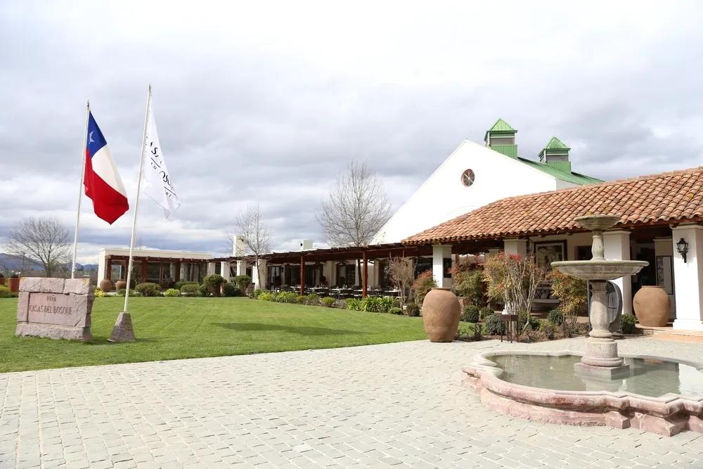 Quintay & Casas del Bosque — 5