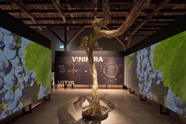 Vinícola em Família com Crianças — 7