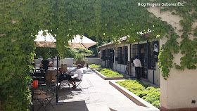 Cajón del Maipo + Concha y Toro — 6