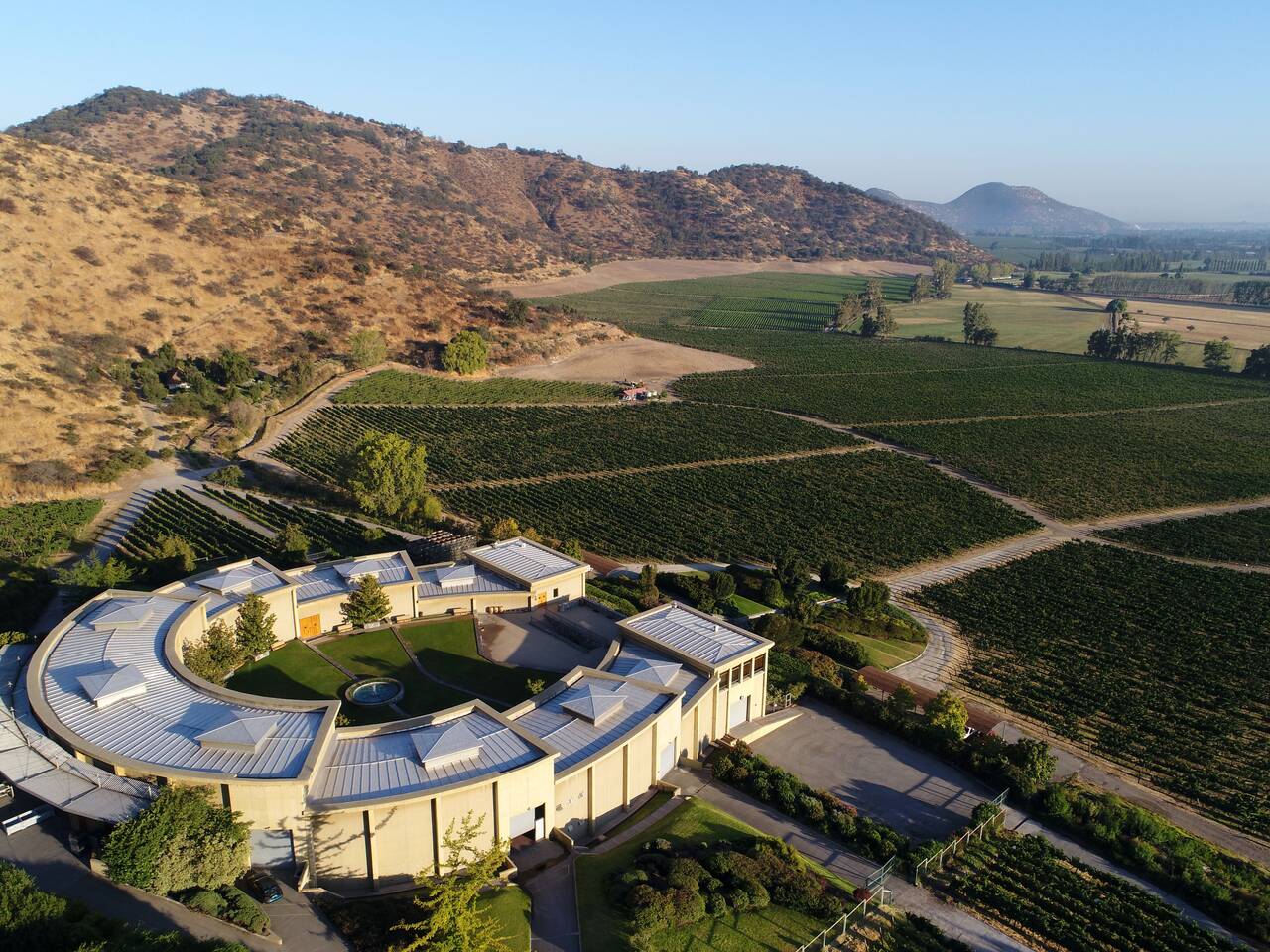 Vinhedos do Valle del Maipo: O Berço do Cabernet Chileno