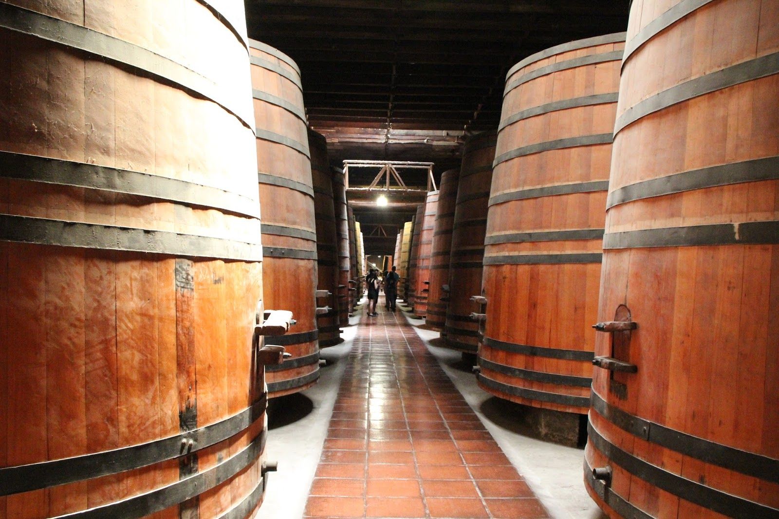 City Tour Santiago + Cousiño Macul — 2