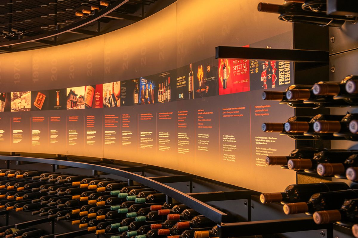 City Tour Santiago + Concha y Toro — 2