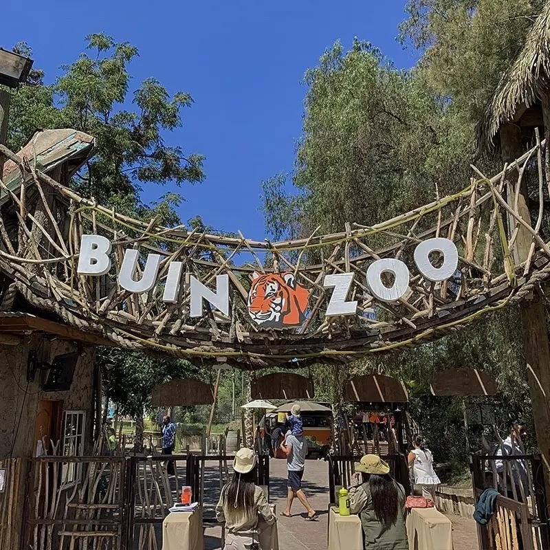 Buin Zoo — 7