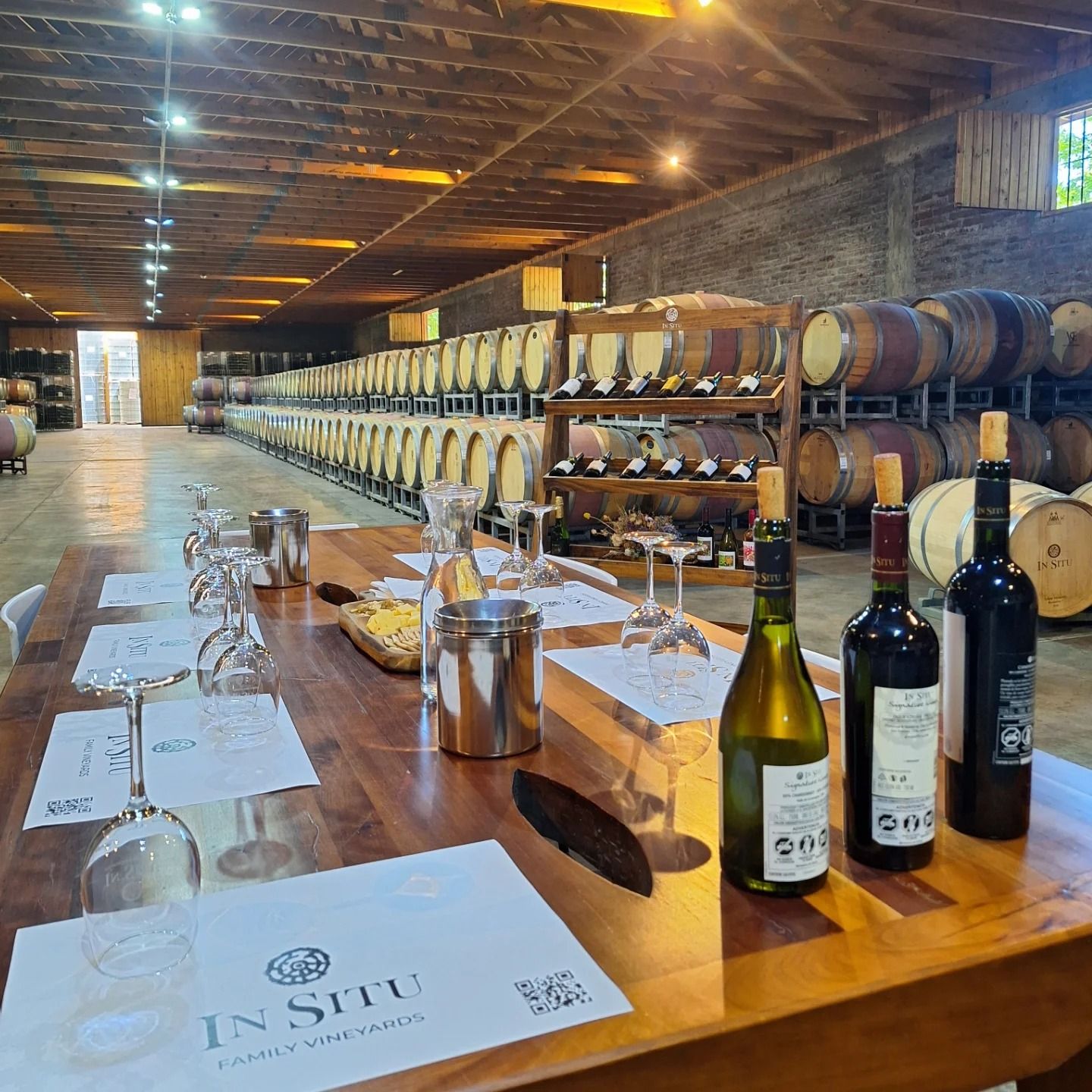 Vinhedos do Valle de Aconcágua — 5