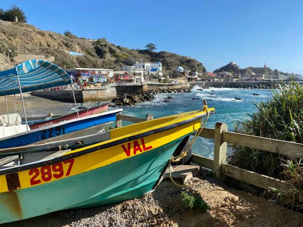 Quintay & Casas del Bosque — 2