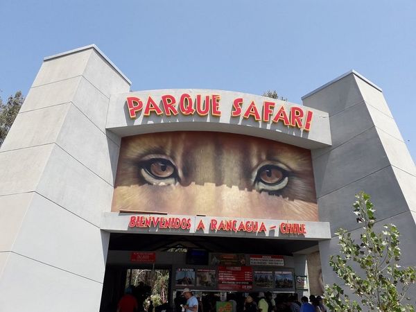 Parque Safari Rancagua — 1