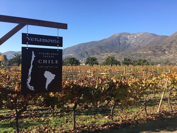 Casino & Vinícola em Viña del Mar — 5